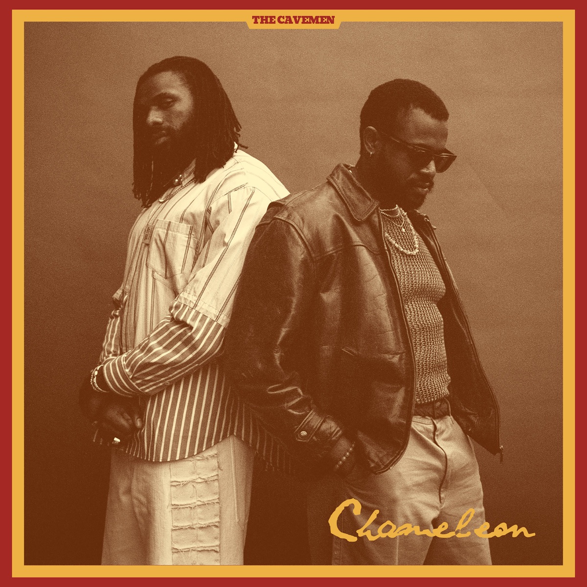 Chameleon cover